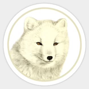 Arctic Fox Sticker